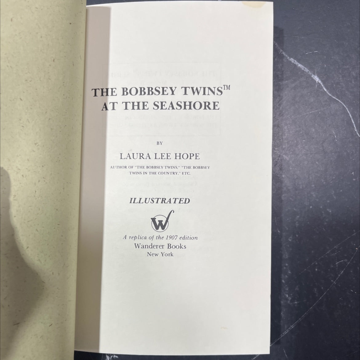 the bobbsey twins at the seashore book, by laura lee hope, 1979 Hardcover, Folio image 2