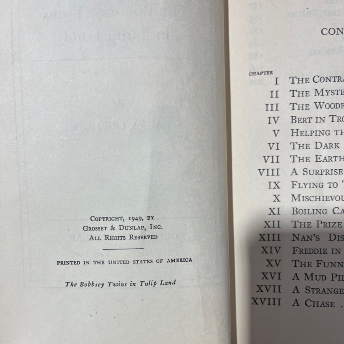 the bobbsey twins in tulip land book, by laura lee hope, 1949 Hardcover image 3