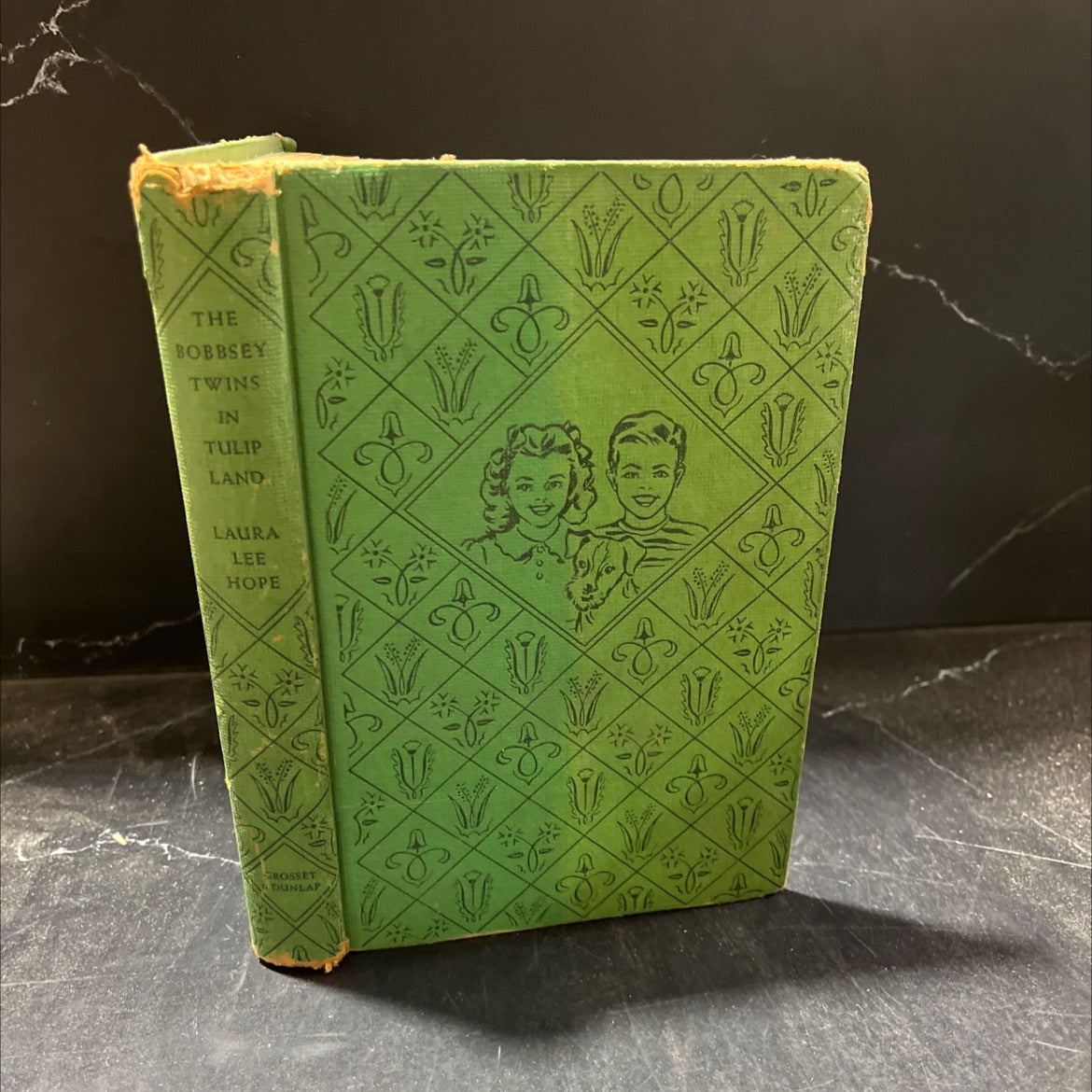 the bobbsey twins in tulip land book, by laura lee hope, 1949 Hardcover image 1