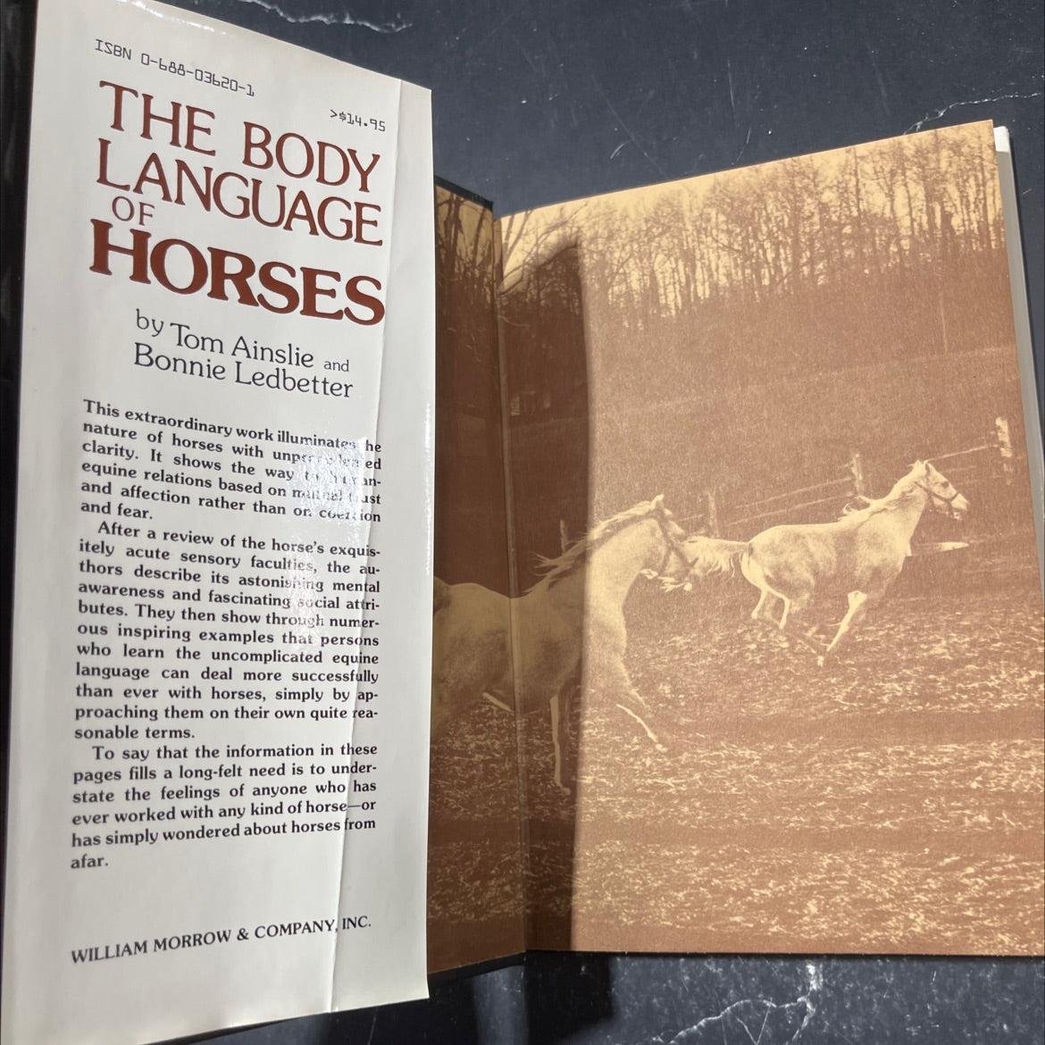 the body language of horses book, by Tom Ainslie and Bonnie Ledbetter, 1980 Hardcover image 4