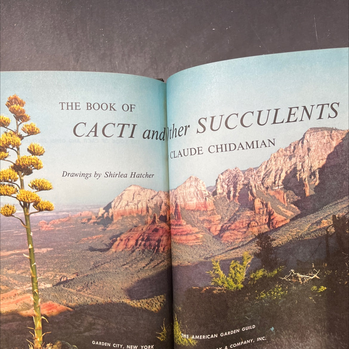 the book of cacti and ther succulents book, by Claude Chidamian, 1958 Hardcover image 2