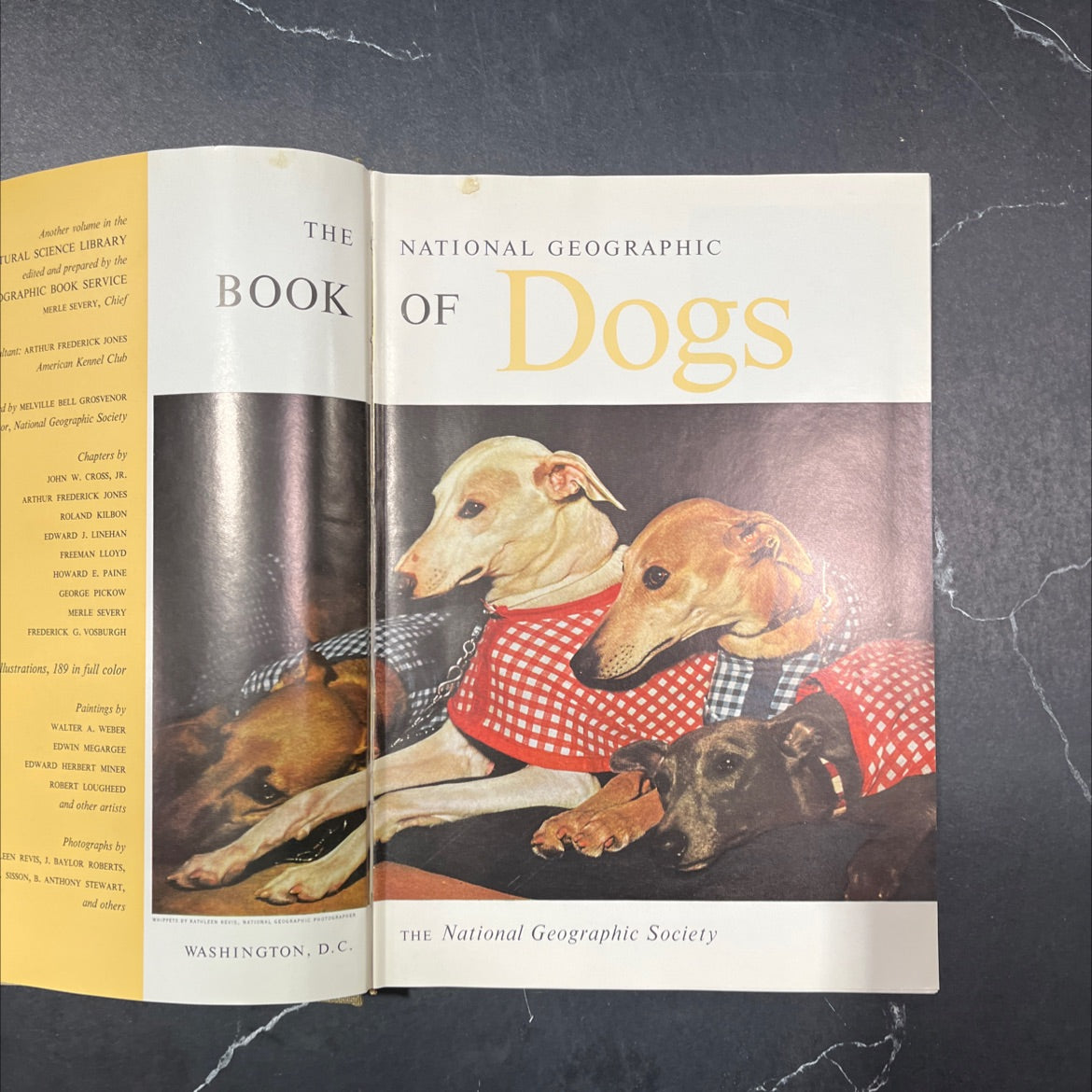 the book of dogs book, by arthur frederick jones, 1958 Hardcover image 2