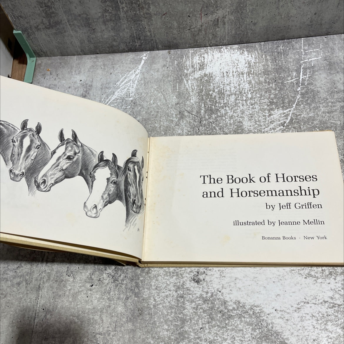 the book of horses and horsemanship book, by Jeff Griffen, 1963 Hardcover image 2