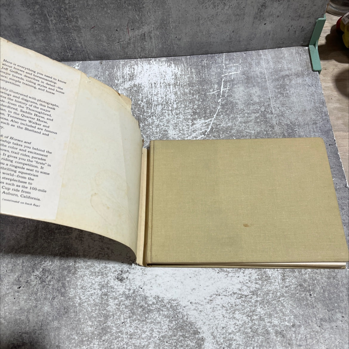 the book of horses and horsemanship book, by Jeff Griffen, 1963 Hardcover image 4