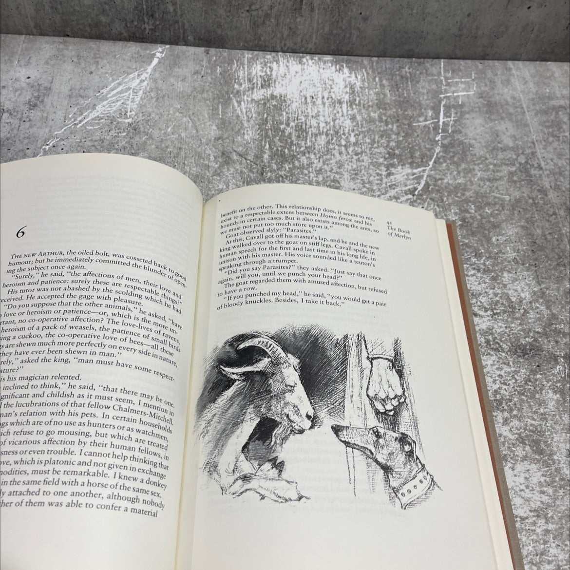 the book of merlyn book, by T. H. White, 1977 Hardcover image 4