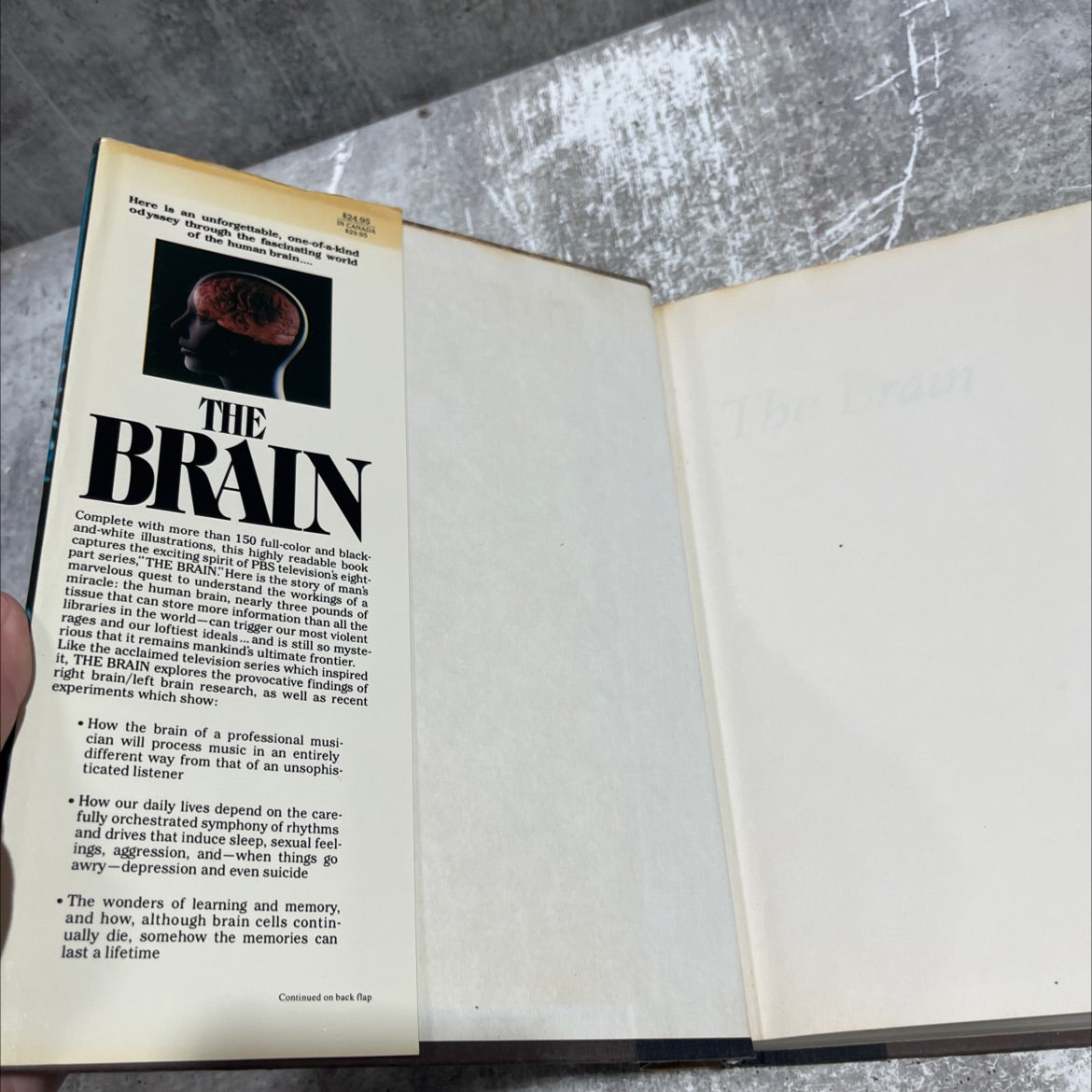the brain book, by Richard M. Restak, M.D., 1984 Hardcover image 4