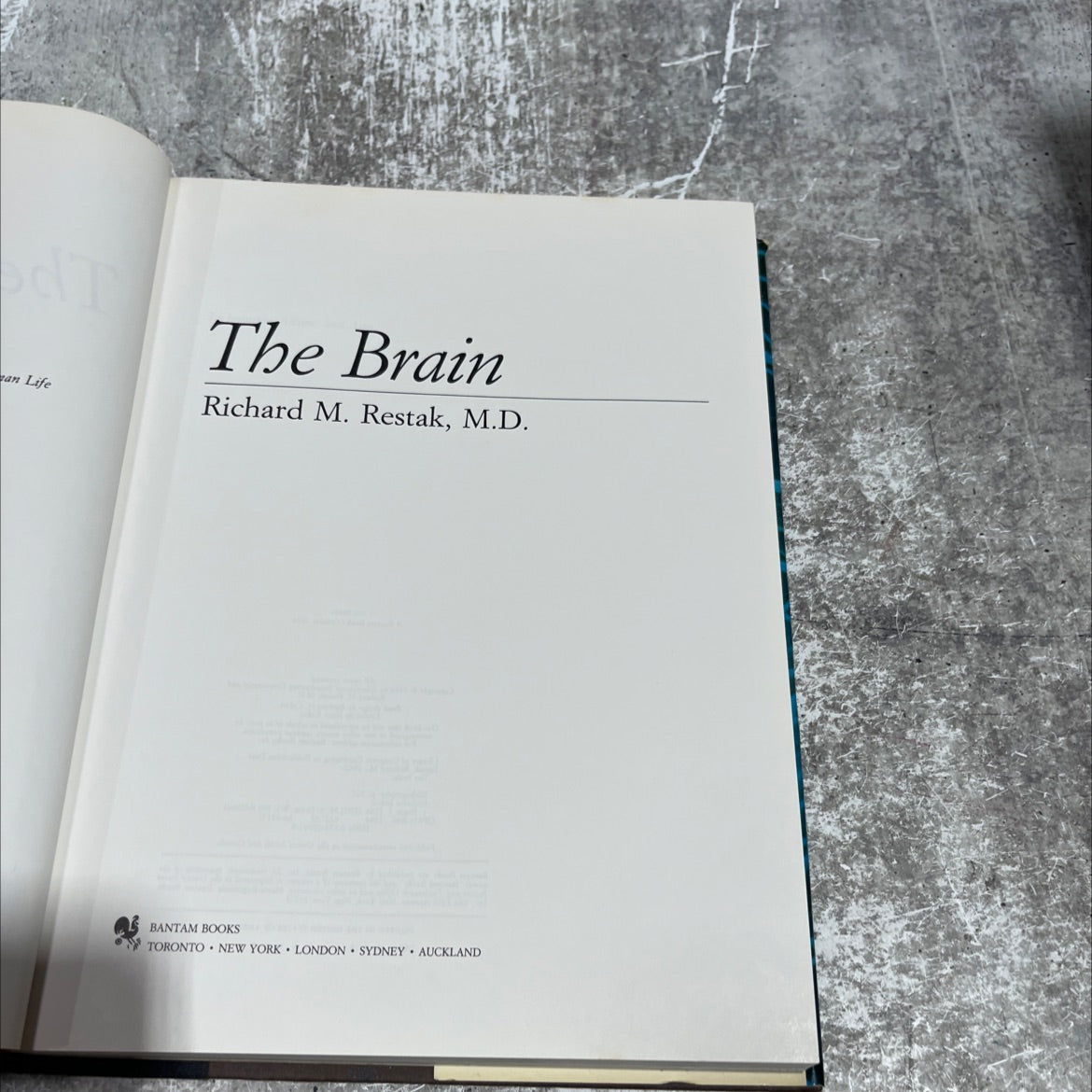 the brain book, by Richard M. Restak, M.D., 1984 Hardcover image 2