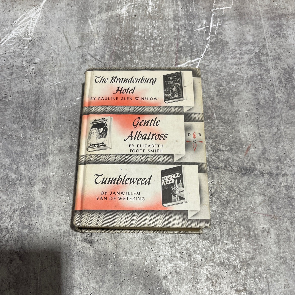 the brandenburg hotel book, by pauline glen winslow, 1976 Hardcover image 1