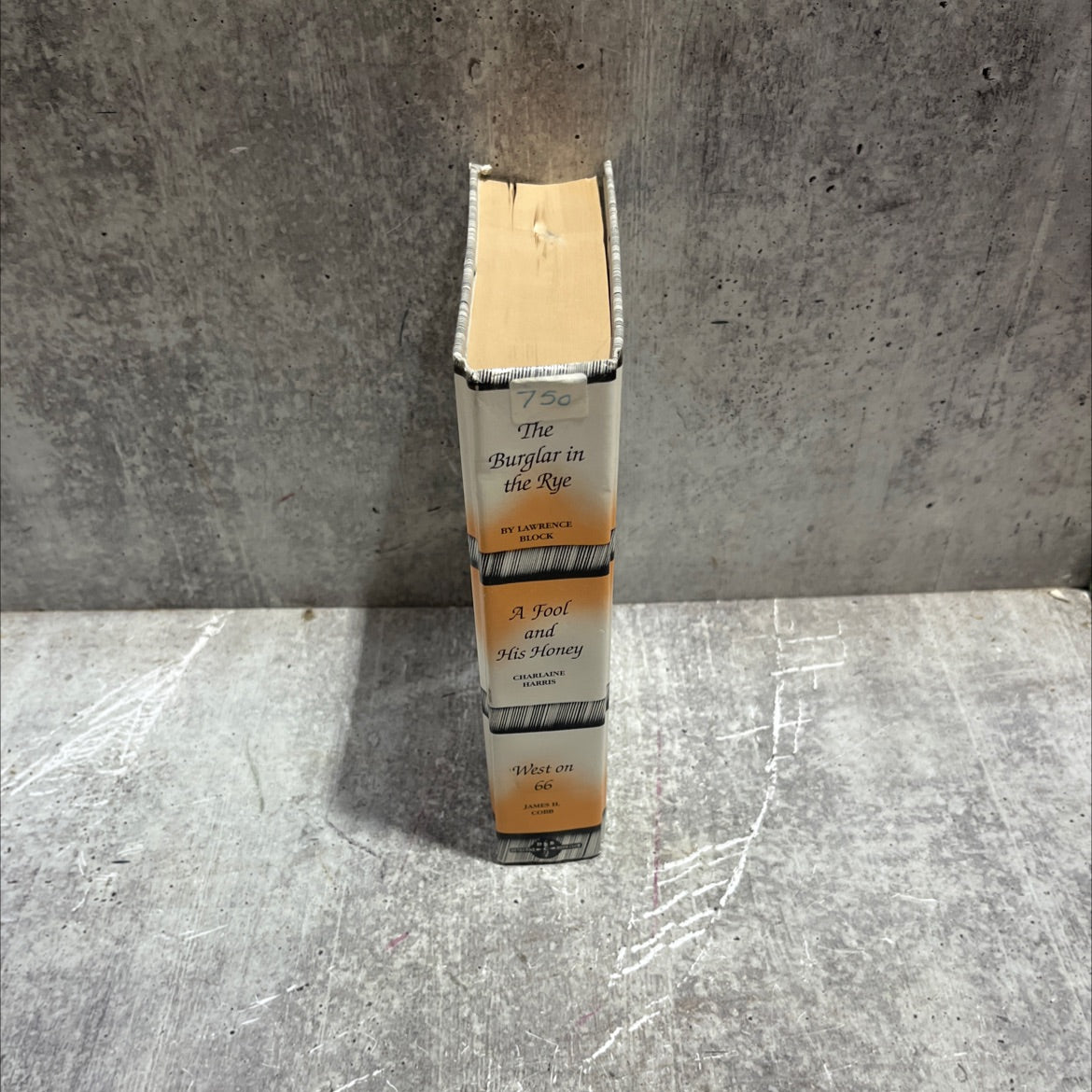 the burglar in the rye book, by lawrence block, 1999 Hardcover image 4