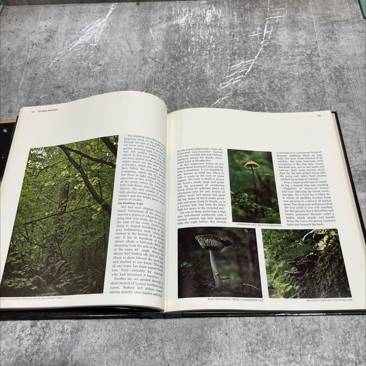 the cascades the american wilderness book, by richard l. williams, 1981 Hardcover image 4