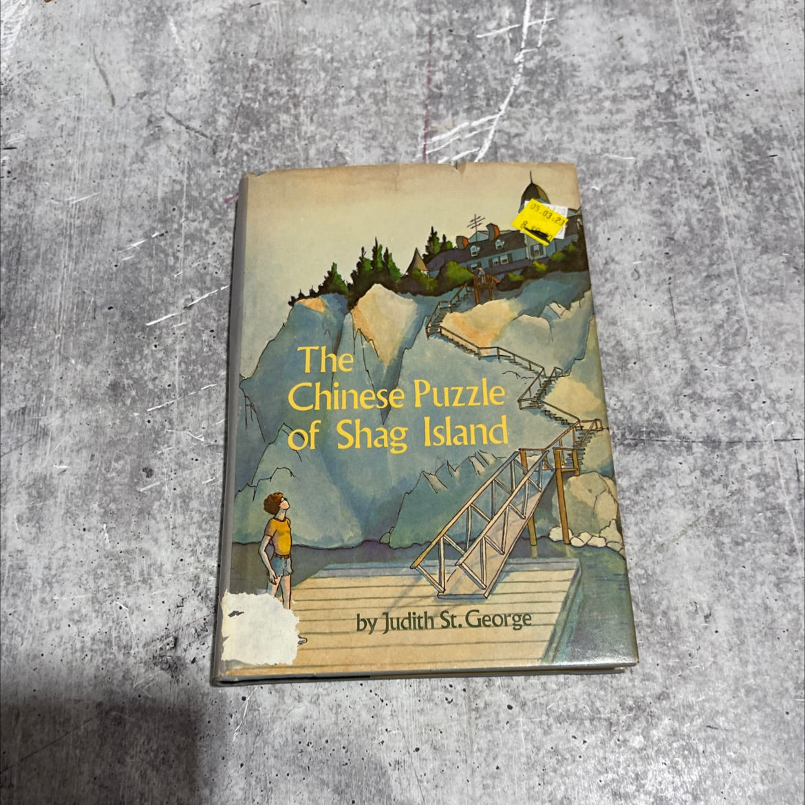 the chinese puzzle of shag island book, by Judith St. George, 1976 Hardcover image 1