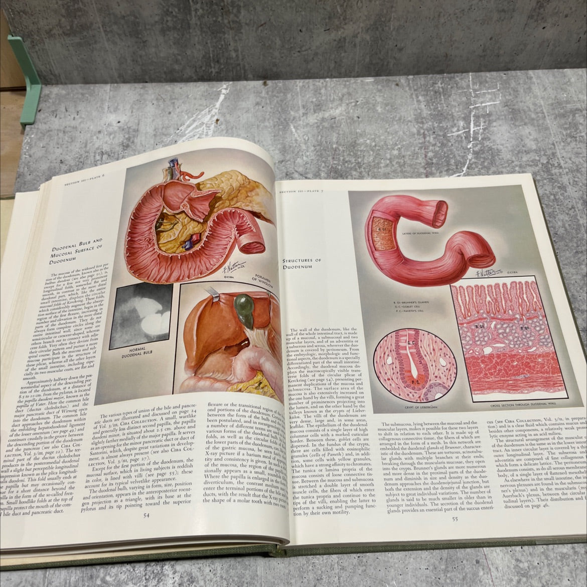 the ciba collection of medical illustrations volume 3 a compilation of paintings on the normal and pathologic anatomy image 4