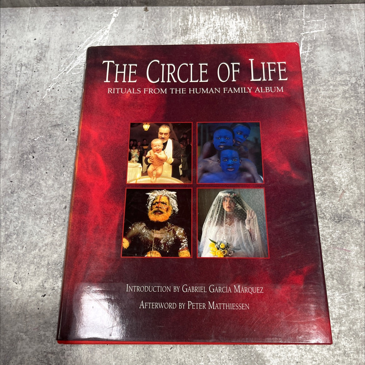 the circle of life rituals from the human family album book, by David Cohen, 1991 Hardcover image 1