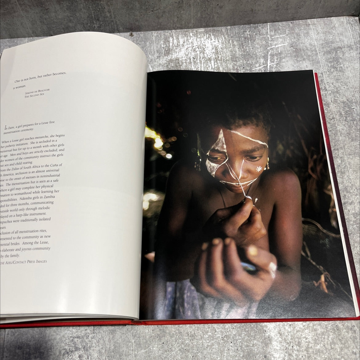 the circle of life rituals from the human family album book, by David Cohen, 1991 Hardcover image 4