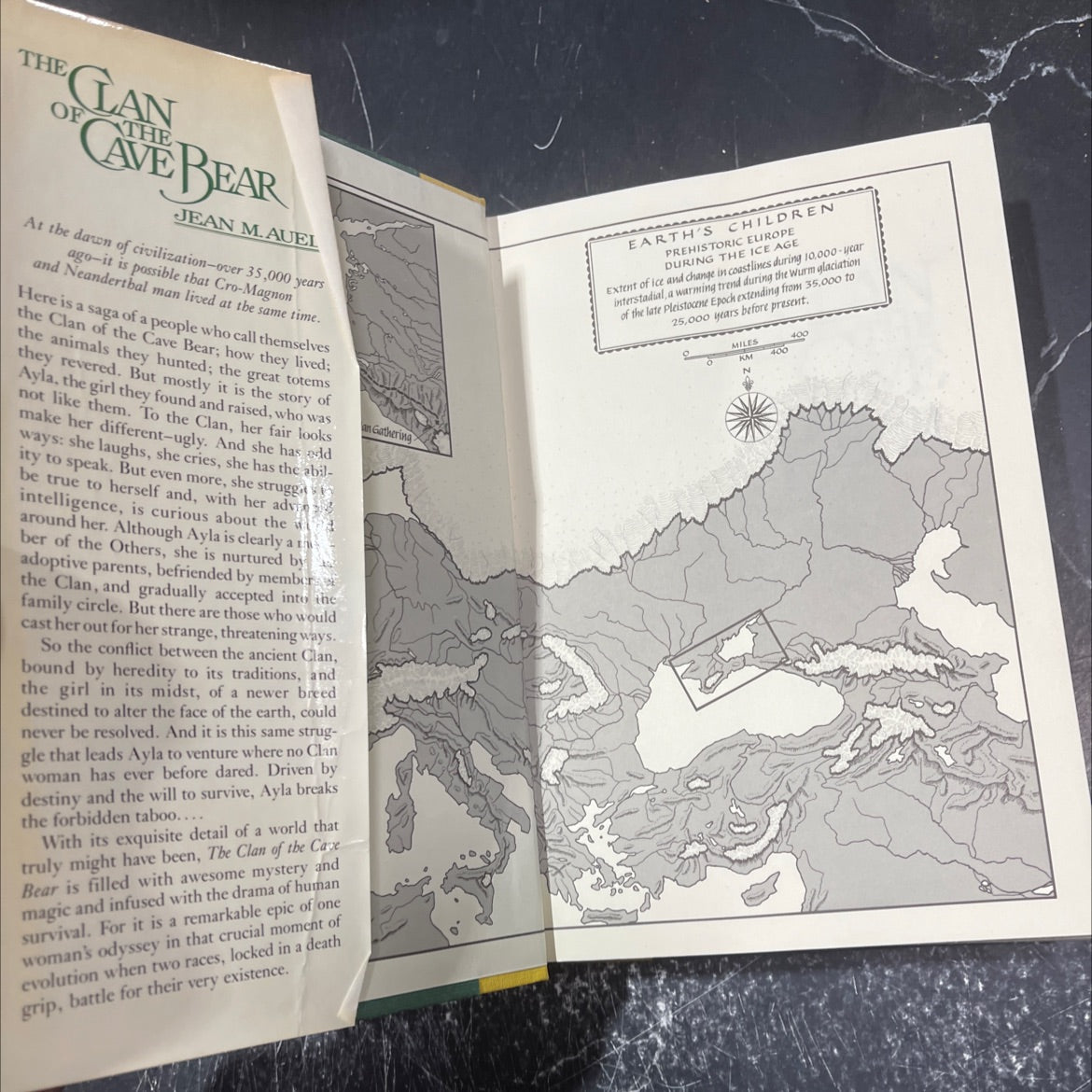 the clan of the cave bear book, by jean m. auel, 1980 Hardcover, First Edition, Vintage image 4