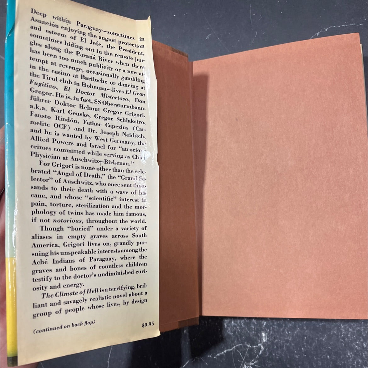 the climate of hell book, by Herbert Lieberman, 1978 Hardcover image 4
