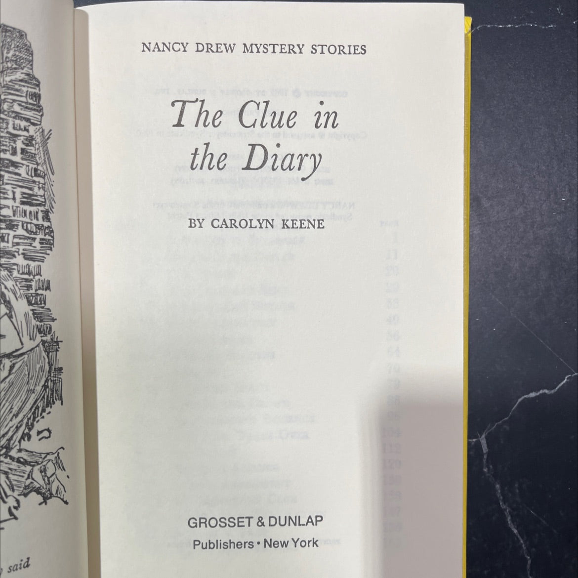 the clue in the diary book, by carolyn keene, 1986 Hardcover image 2