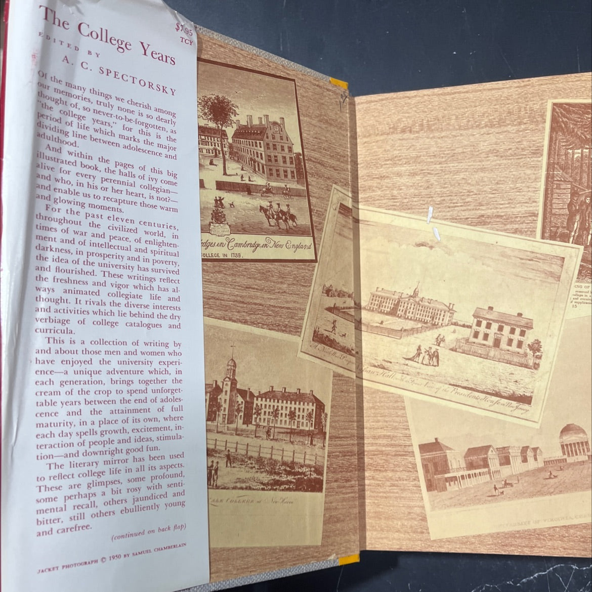 the college years book, by a. c. spectorsky, 1958 Hardcover image 4