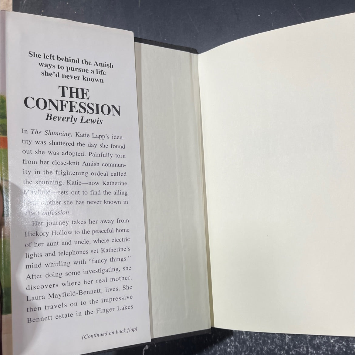the confession book, by beverly lewis, 1997 Hardcover image 4