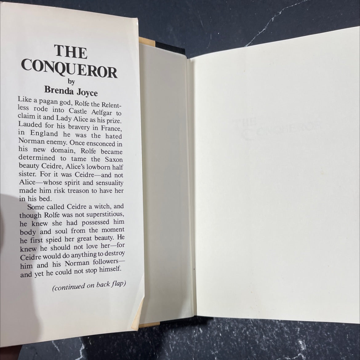 the conqueror book, by brenda joyce, 1990 Hardcover image 4