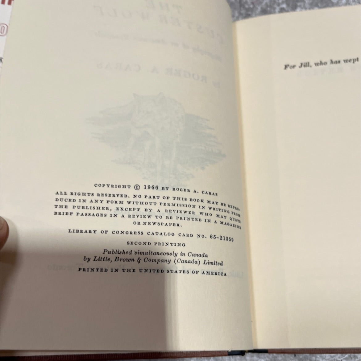 the custer wolf biography of an american renegade book, by roger a. caras, 1966 Hardcover image 3