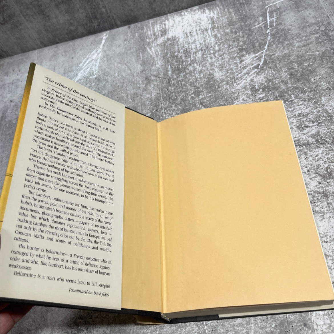 the dangerous edge book, by robert daley, 1983 Hardcover image 4