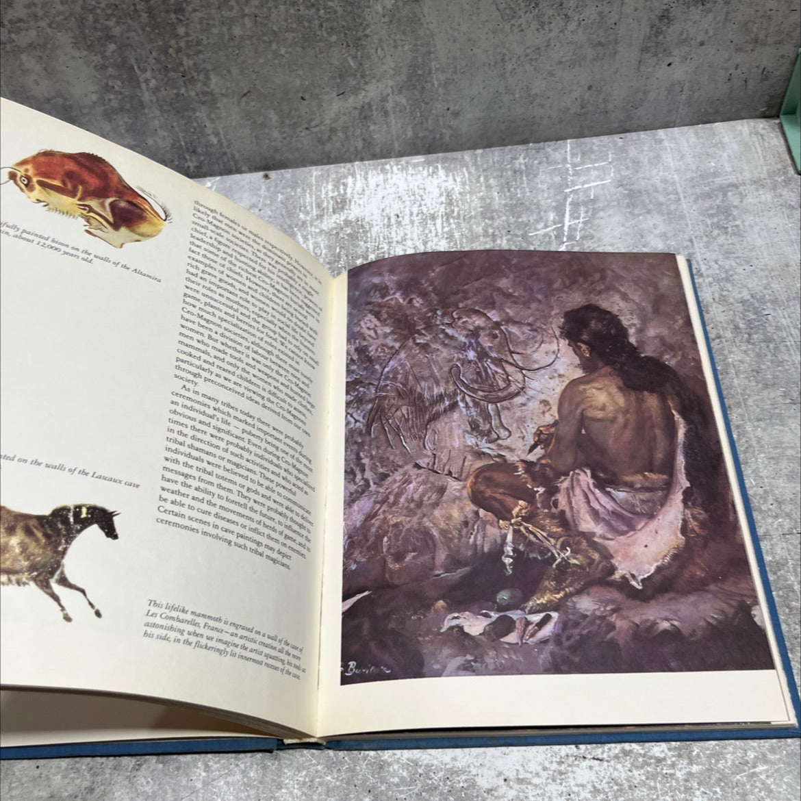 the dawn of man book, by zdeněk burian, 1978 Hardcover image 4