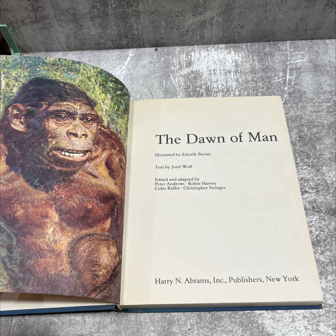 the dawn of man book, by zdeněk burian, 1978 Hardcover image 2