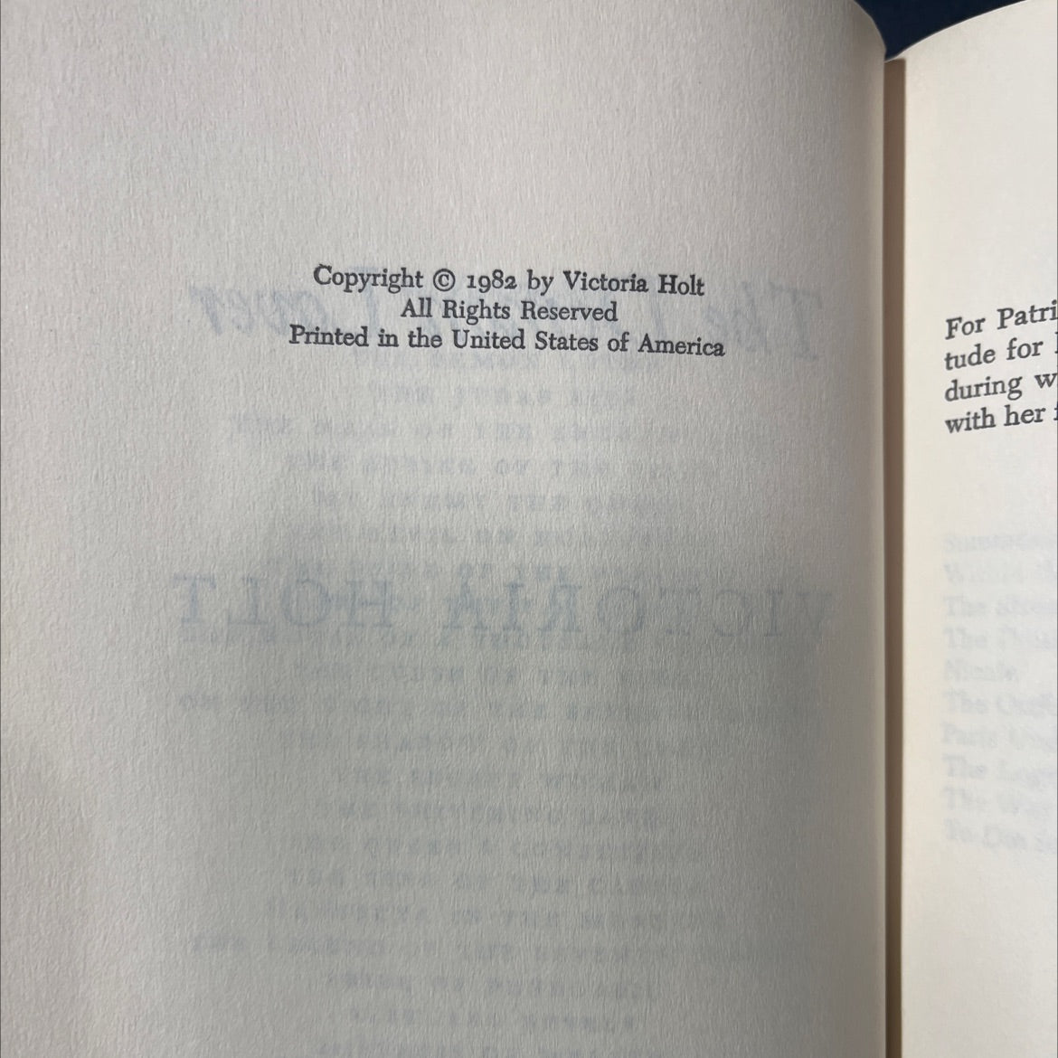 the demon lover book, by victoria holt, 1982 Hardcover image 3