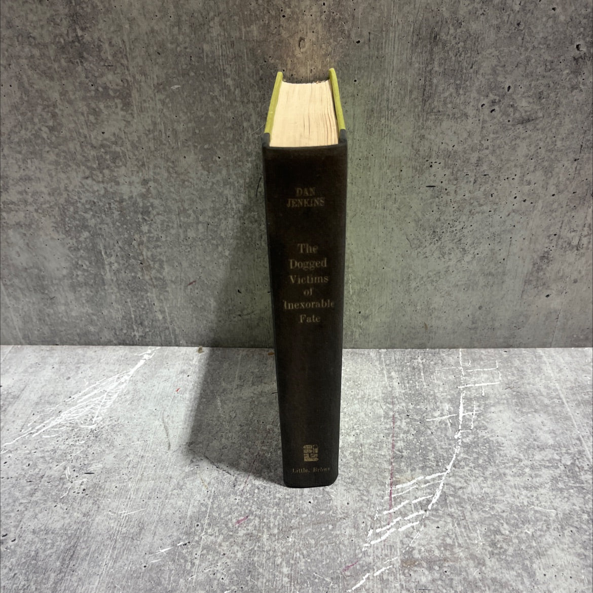 the dogged victims of inexorable fate book, by dan jenkins, 1970 Hardcover image 4
