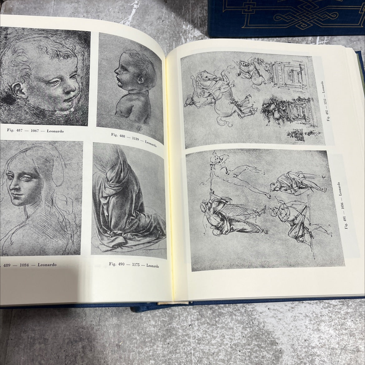 the drawings of the florentine painters book, by Berenson, 1970 Hardcover image 4