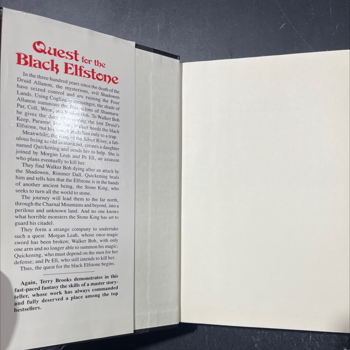 the druid book, by Terry Brooks, 1991 Hardcover image 4