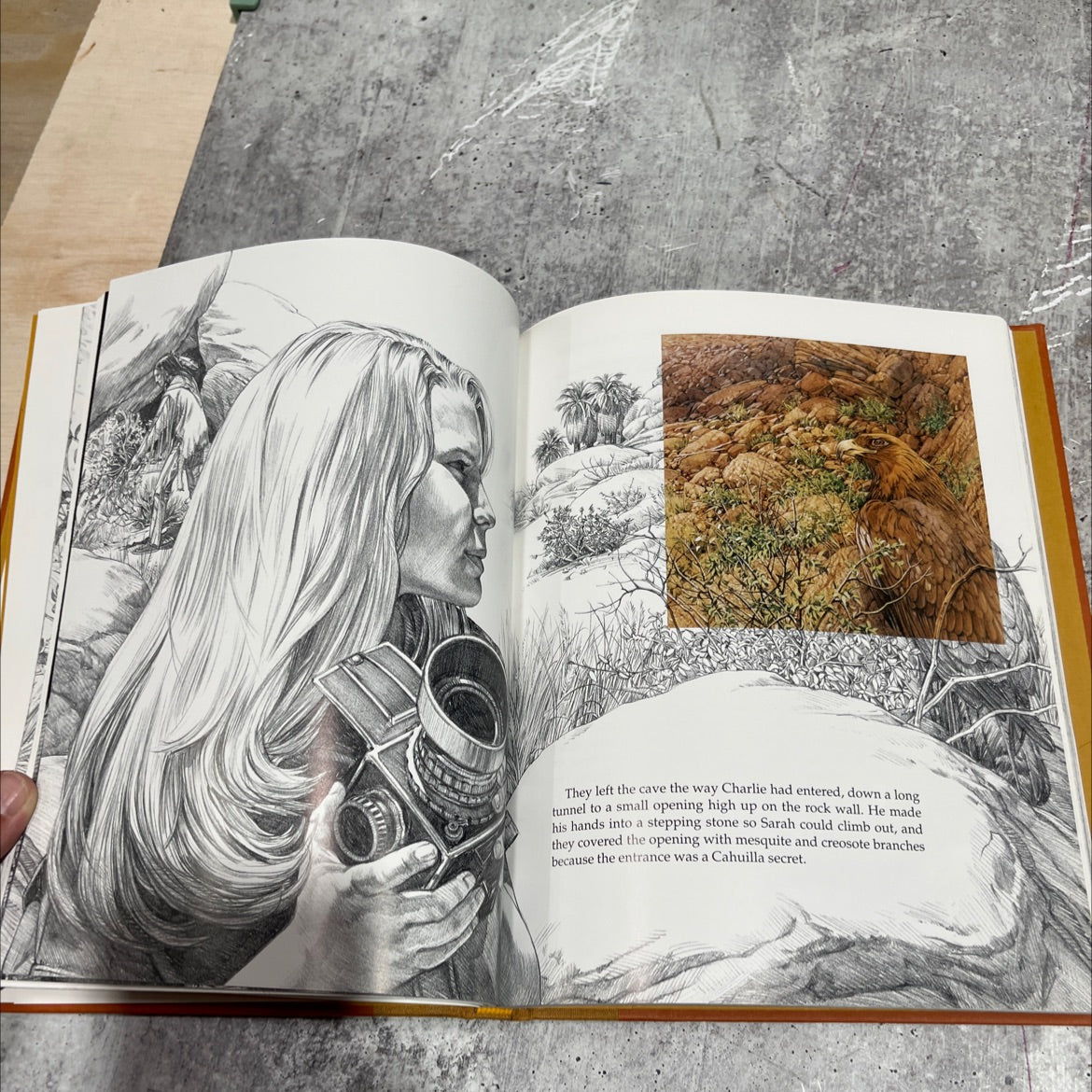the earth is my mother book, by elise maclay, 1999 Hardcover image 4