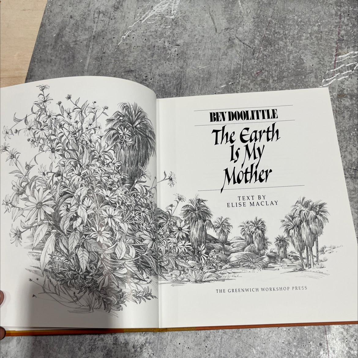 the earth is my mother book, by elise maclay, 1999 Hardcover image 2
