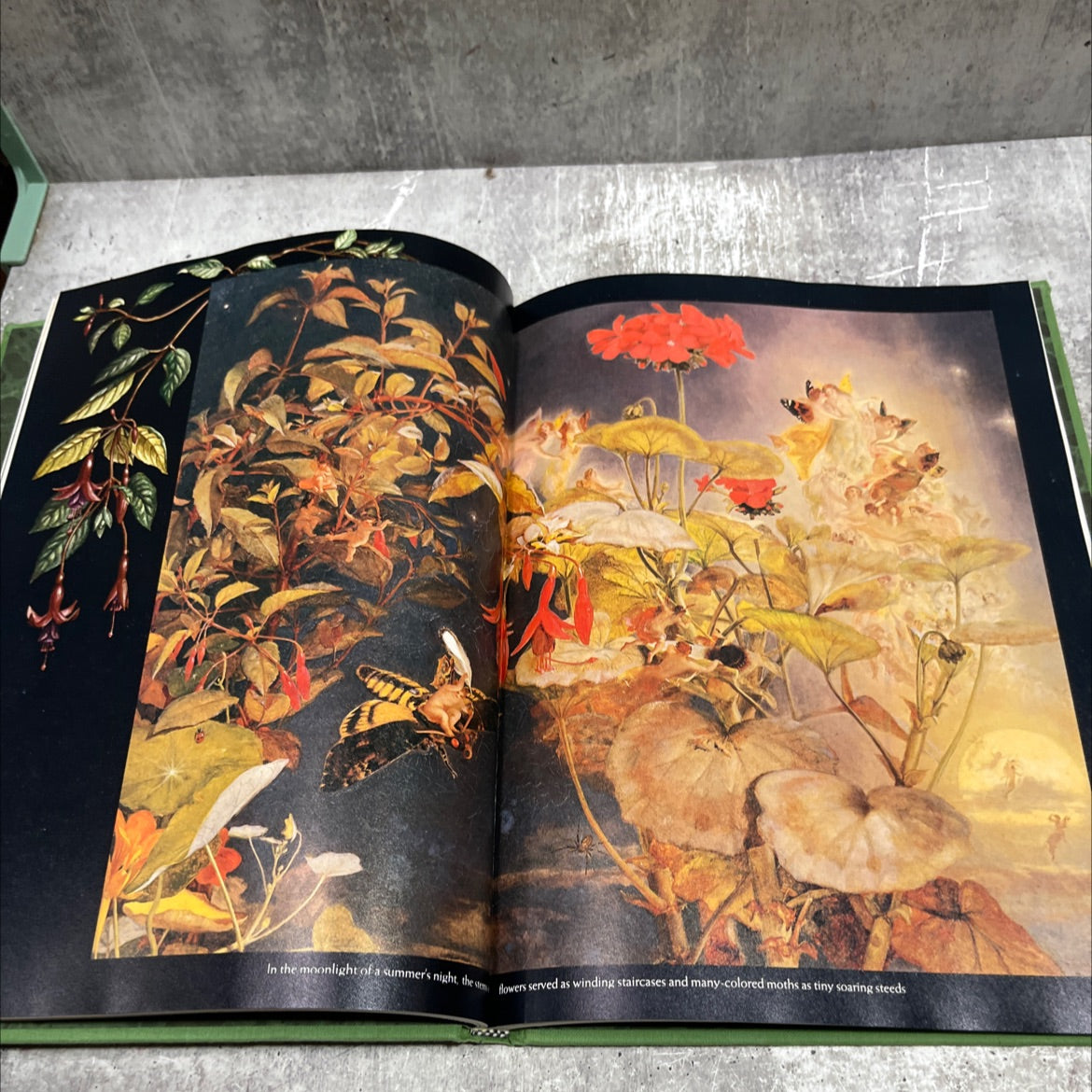 the enchanted world fairies and elves book, by Editors of Time-Life Books, 1988 Hardcover image 3