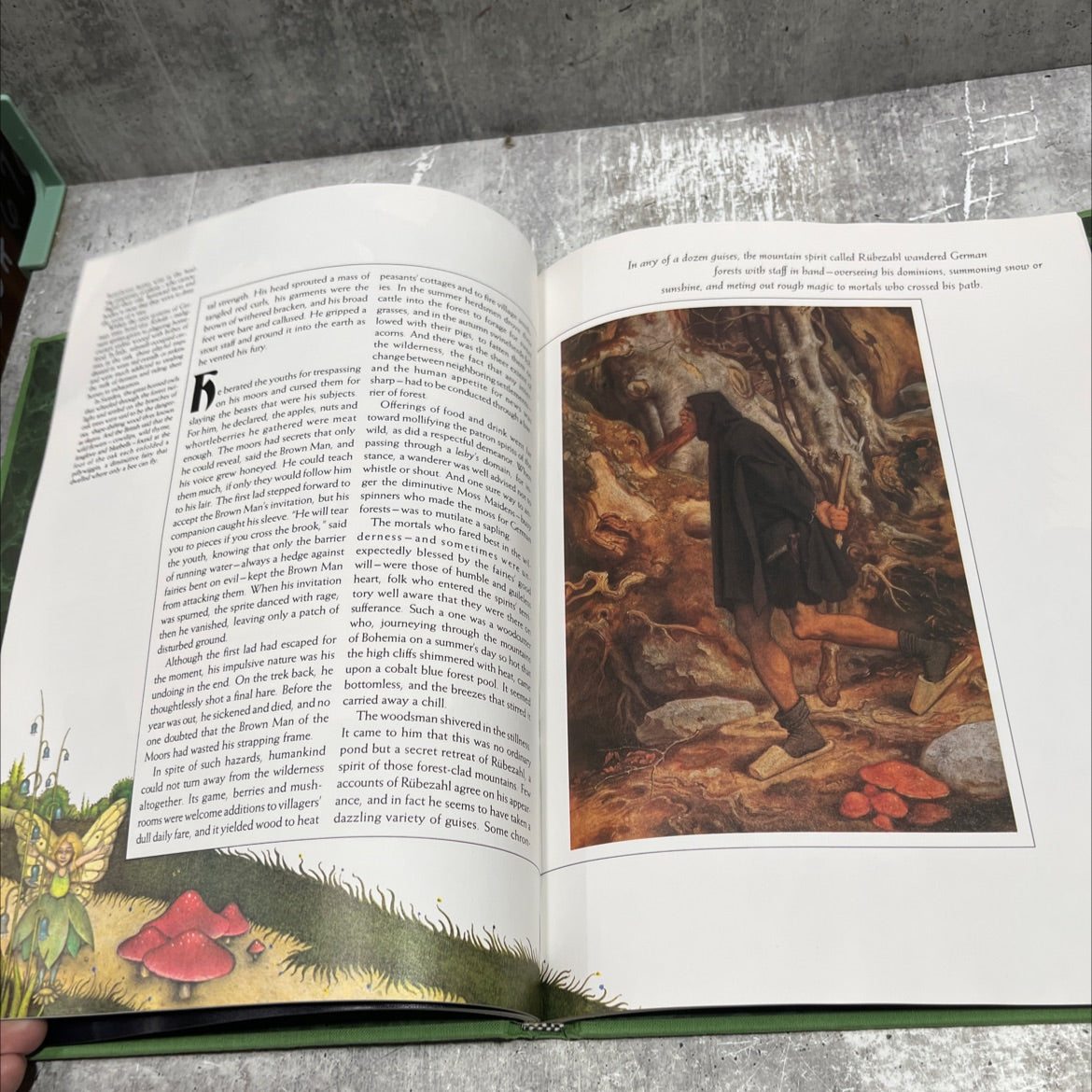 the enchanted world fairies and elves book, by Editors of Time-Life Books, 1988 Hardcover image 4