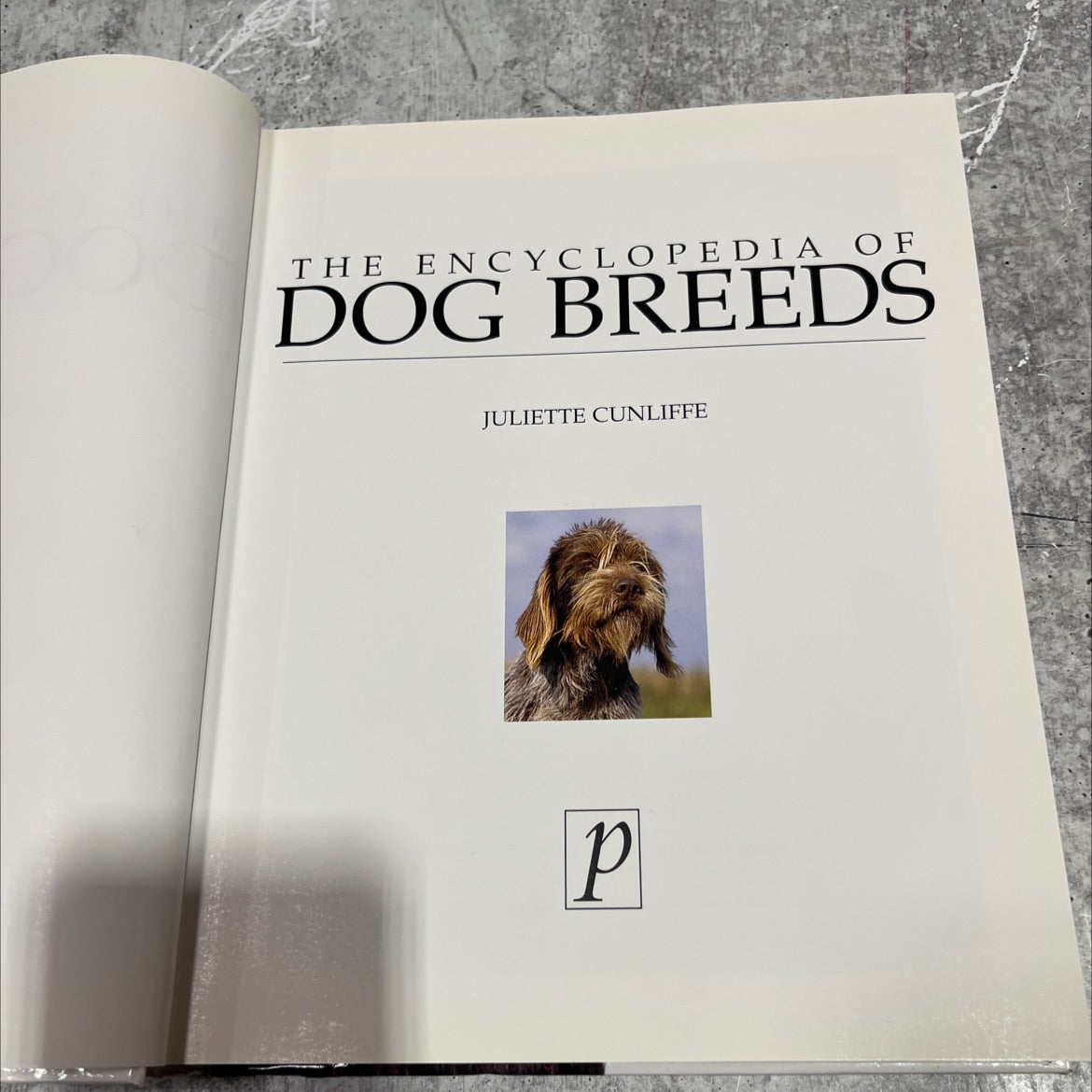 the encyclopedia of dog breeds book, by juliette cunliffe, 2000 Hardcover image 2