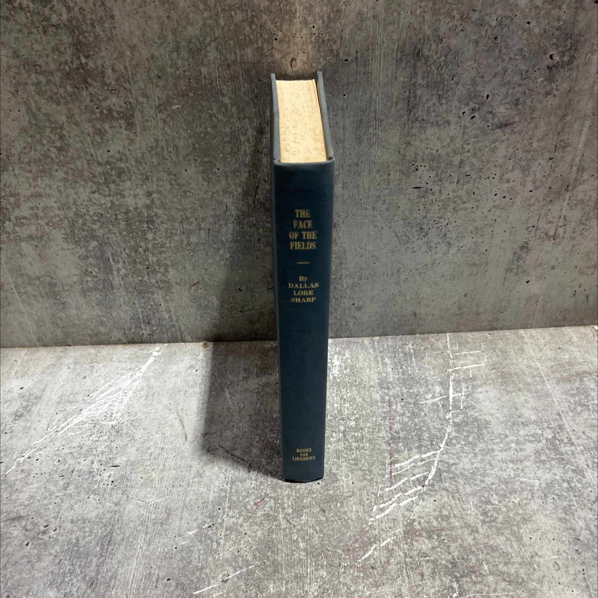 the face of the fields book, by dallas lore sharp, 1967 Hardcover image 4