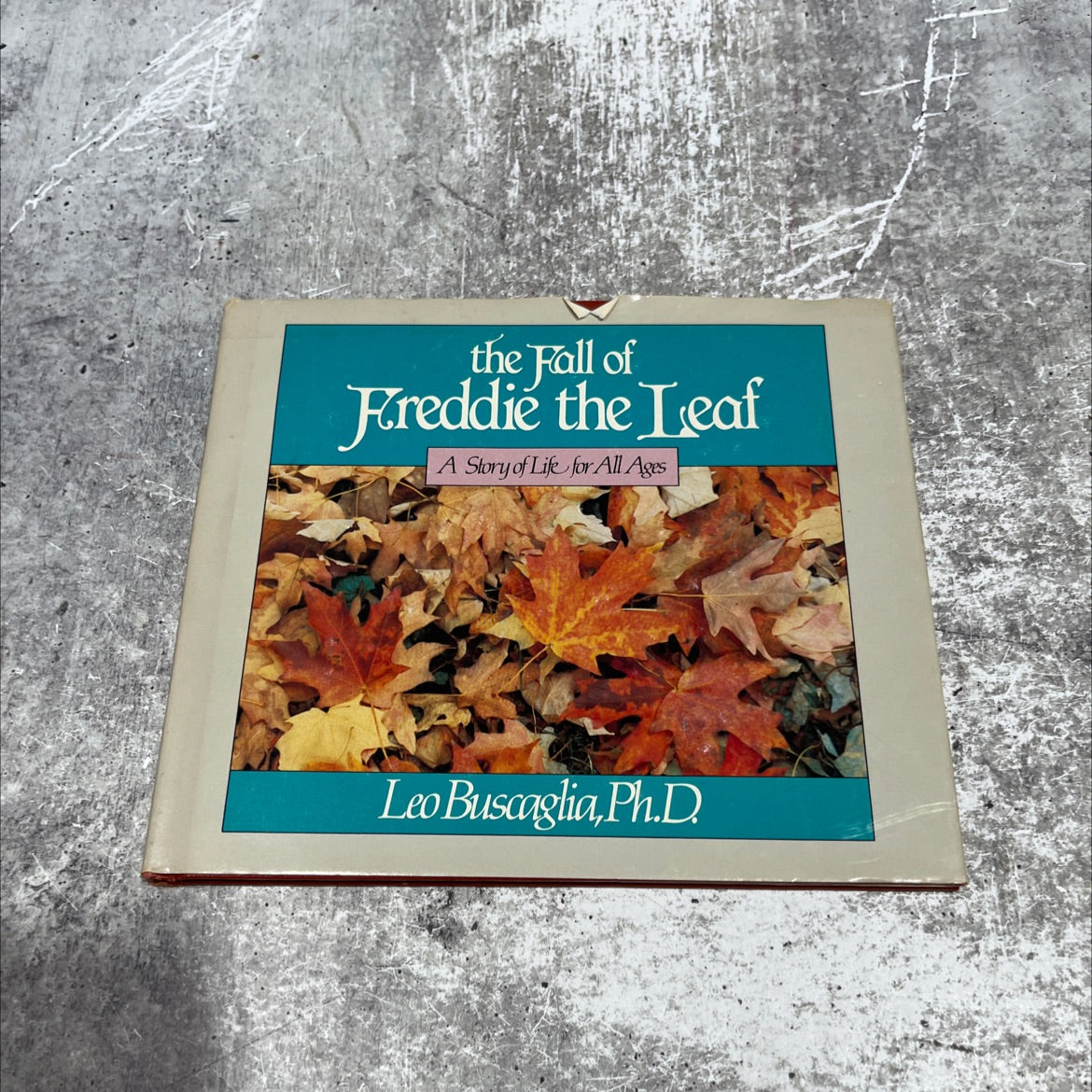 the fall of freddie the leaf a story of life for all ages book, by leo buscaglia, 1982 Hardcover image 1