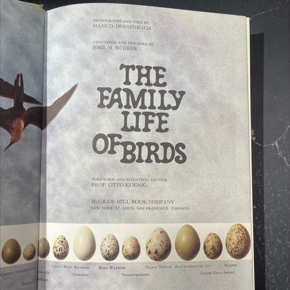 the family life of birds book, by hans d. dossenbach, 1971 Hardcover image 2