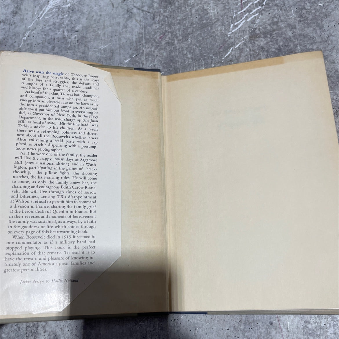 the family book, by hermann hagedorn, 1954 Hardcover image 4