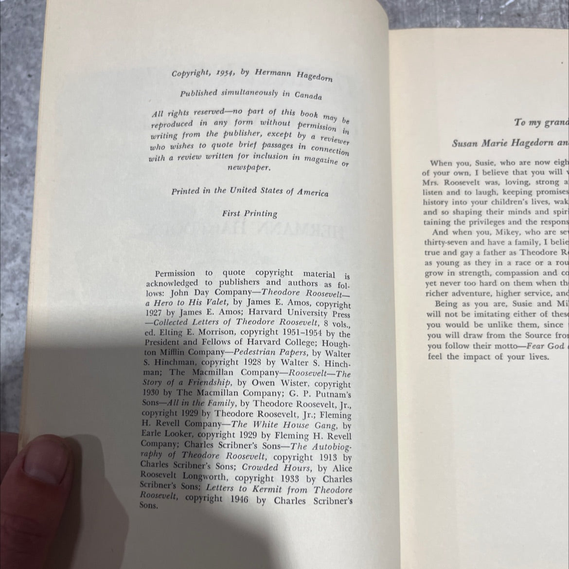 the family book, by hermann hagedorn, 1954 Hardcover image 3