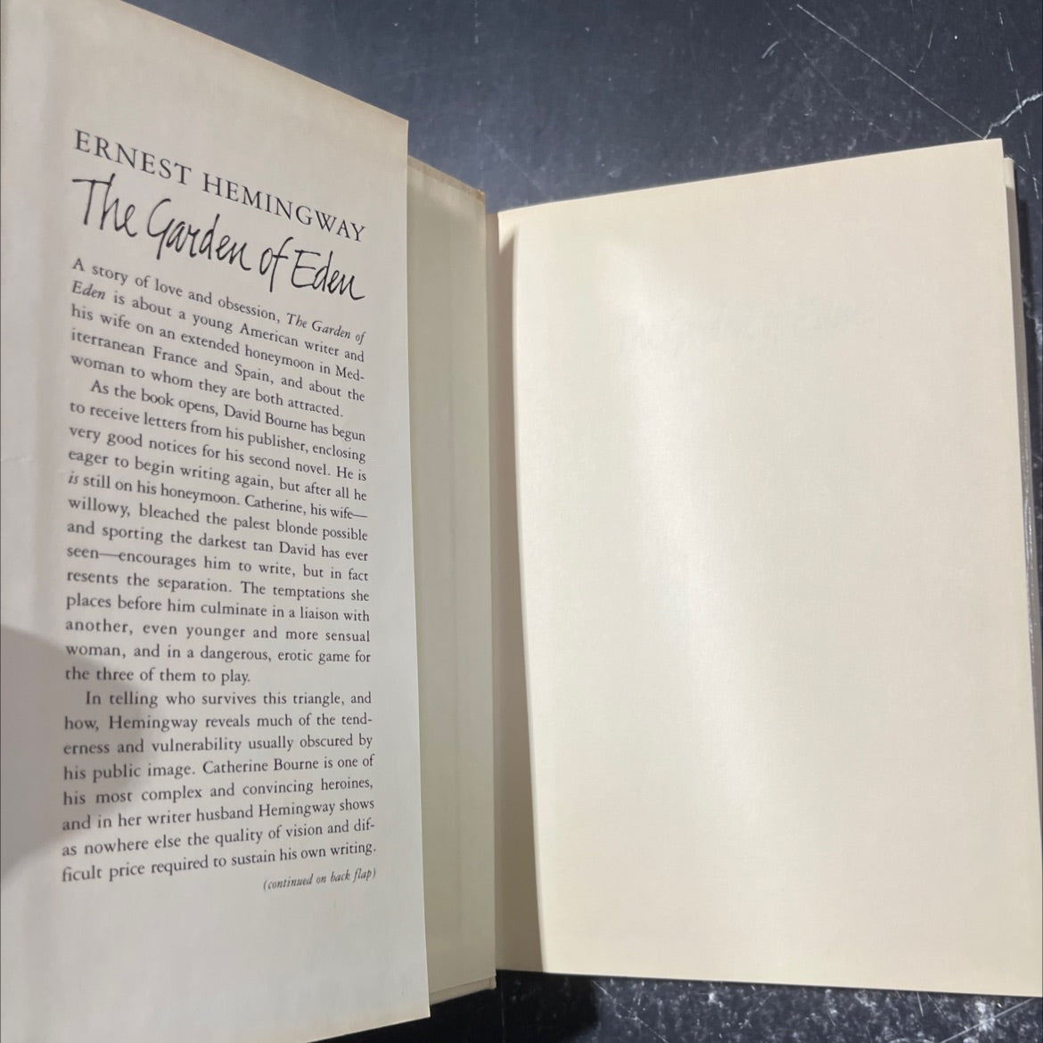 the garden of eden book, by ernest hemingway, 1986 Hardcover image 4