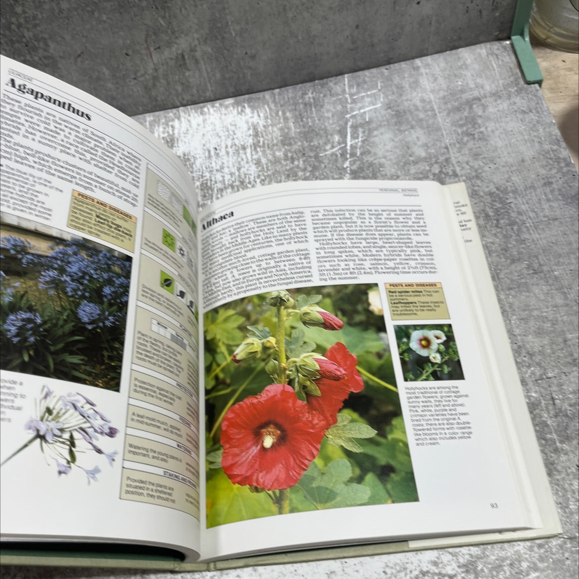 the garden plant survival manual book, by ann bonar, 1984 Hardcover image 4