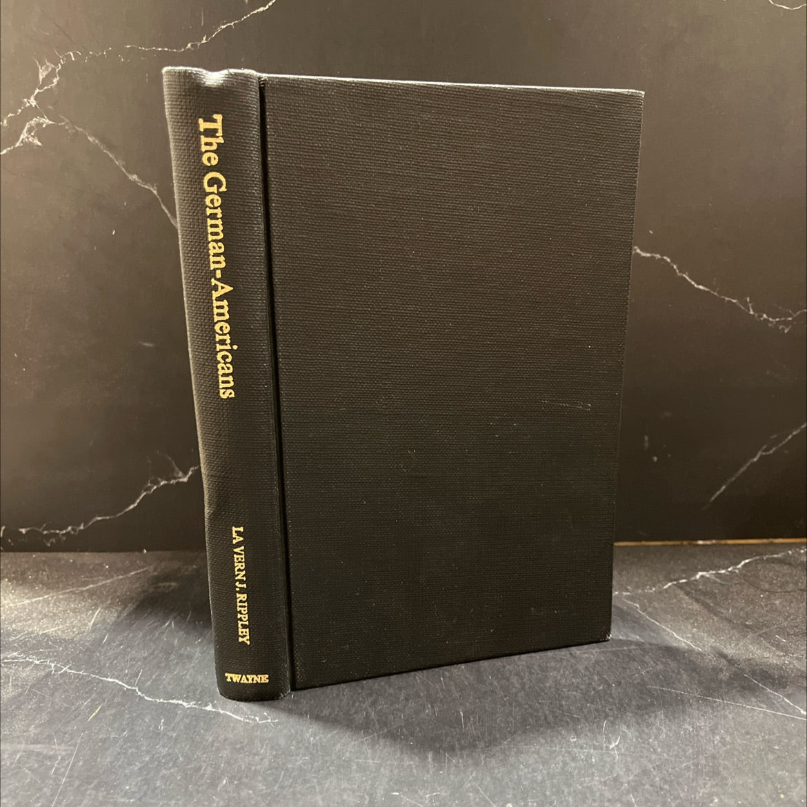 the german-americans book, by la vern j. rippley, 1976 Hardcover image 1
