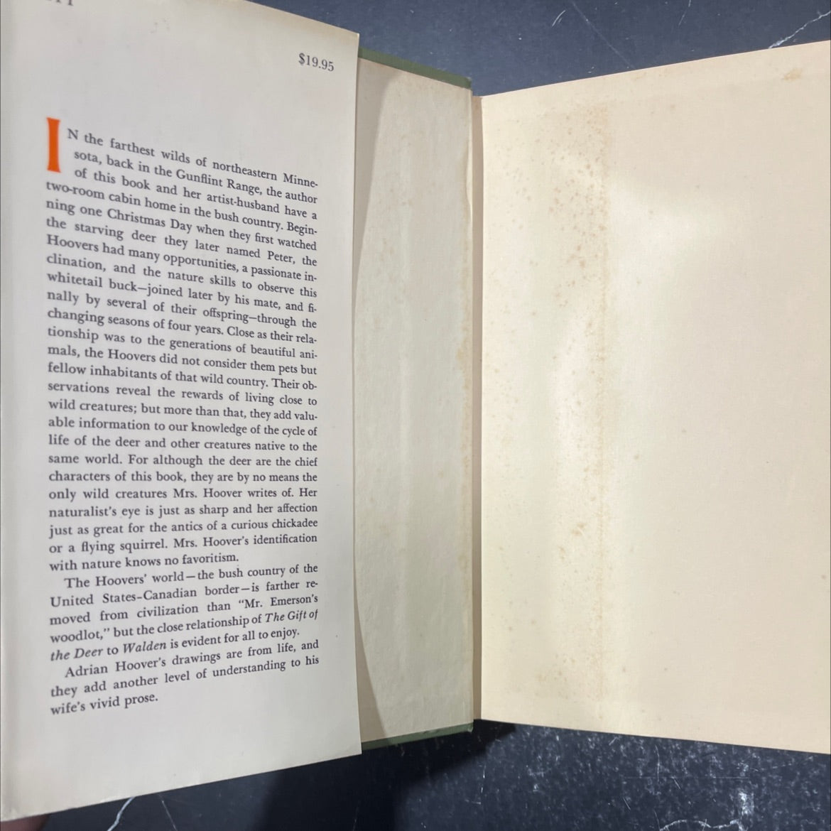 the gift of the deer book, by Helen Hoover, 1968 Hardcover image 4