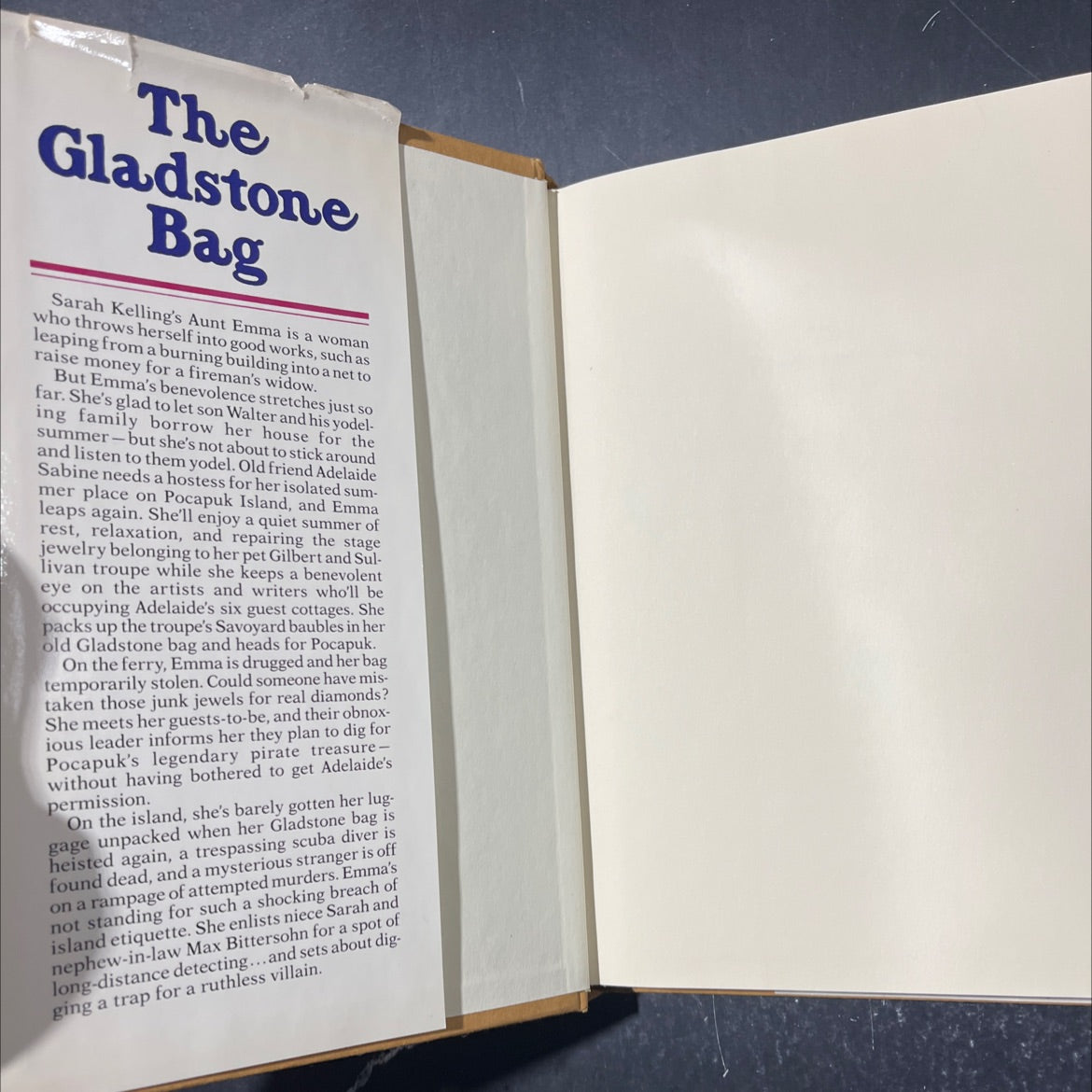 the gladstone bag book, by charlotte macleod, 1989 Hardcover image 4