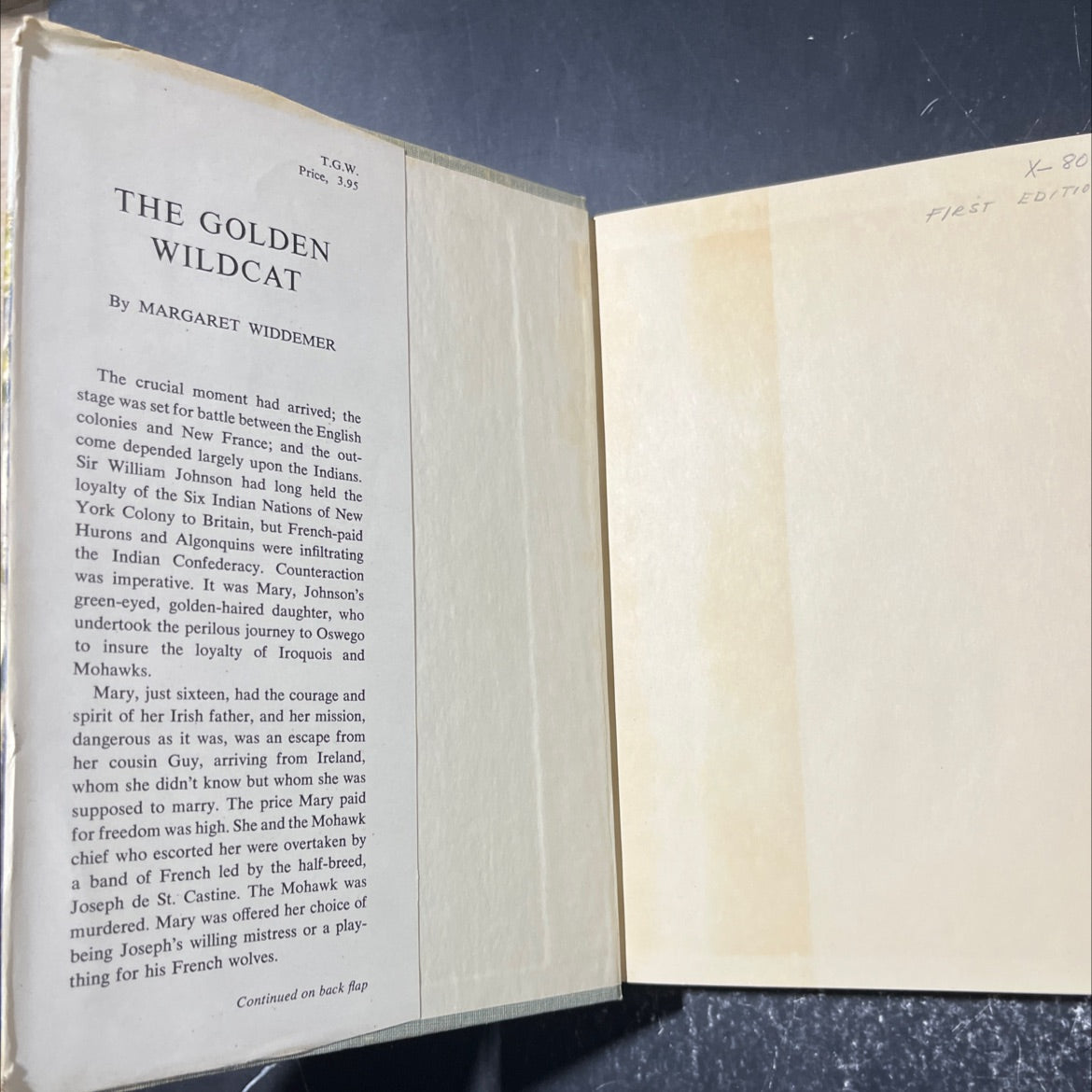 the golden wildcat book, by margaret widdemer, 1954 Hardcover image 4