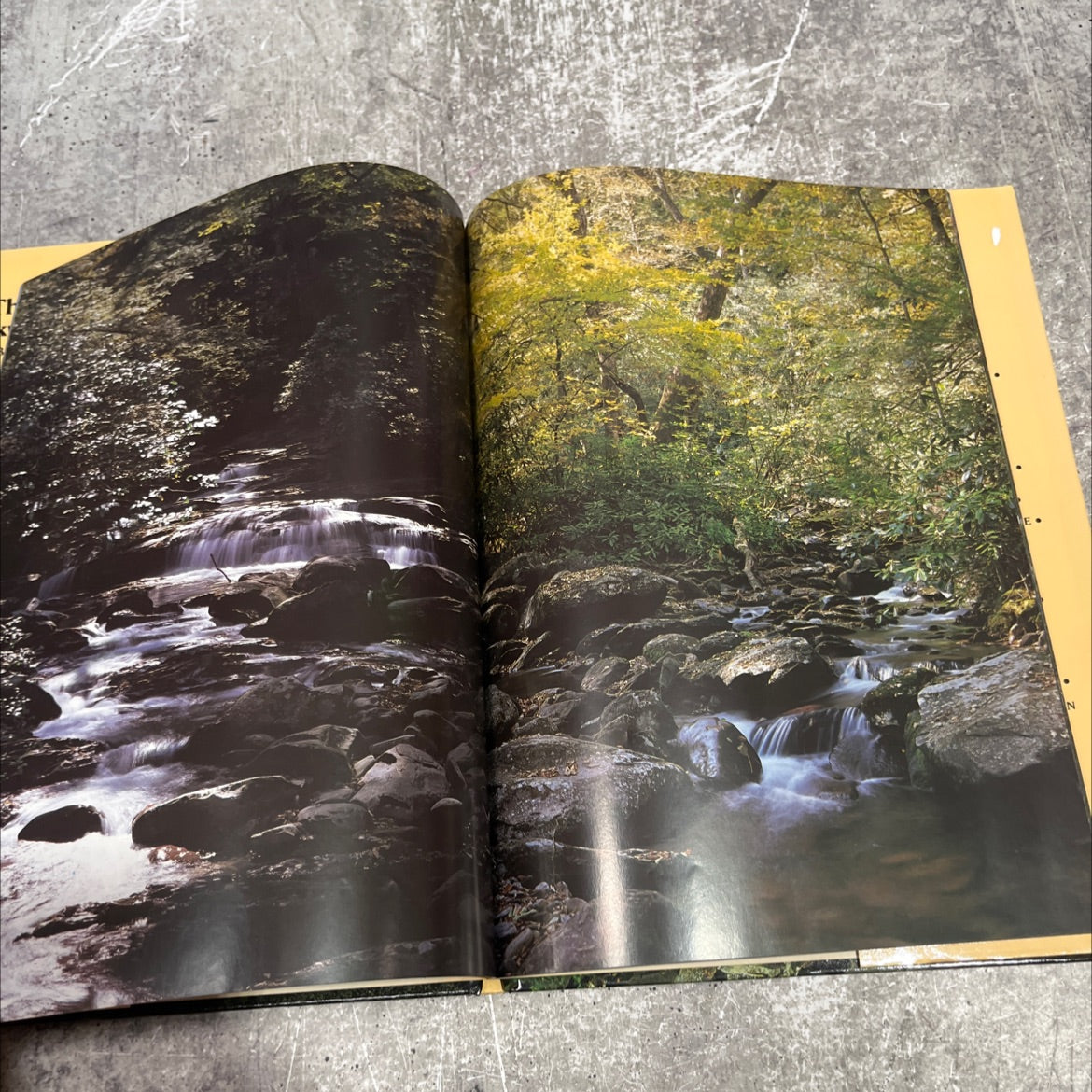 the great smoky mountains book, by unknown, 1988 Hardcover image 4
