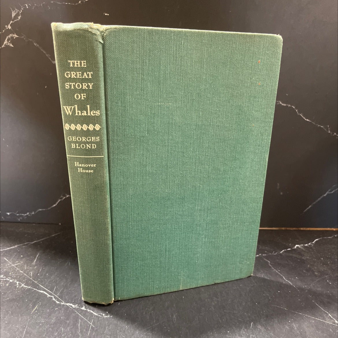 the great story of whales book, by georges blond, 1955 Hardcover, First Edition, Rare, Vintage image 1